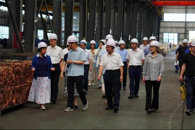 全国人大环境与资源保护委员会副主任委员吕忠梅一行莅临巅峰国际-创意平台,注册畅享文化之梦!-pgdf调研座谈